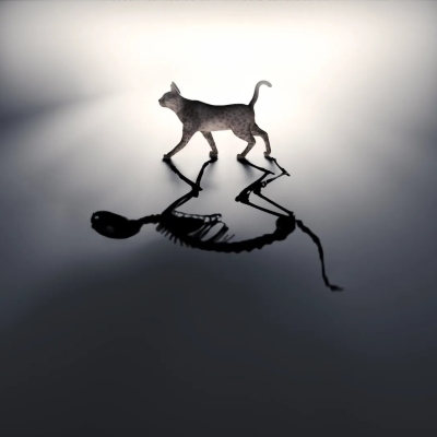 schrodingerscat
